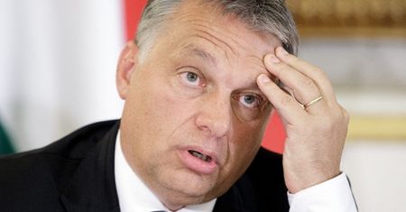 Igor Janke: Wiktor Orban zawsze miał poprawne relacje z Donaldem Tuskiem