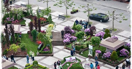 Pszczyna zmieni się w arystokratyczne miasto ogrodów. Daisy Days już w ten weekend