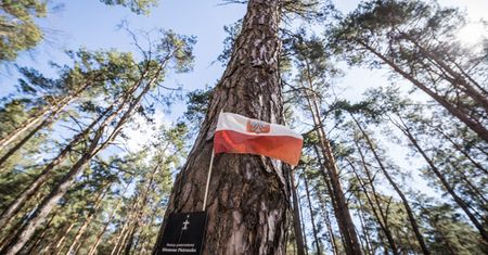 Tajemnice czaszek z katyńskich mogił