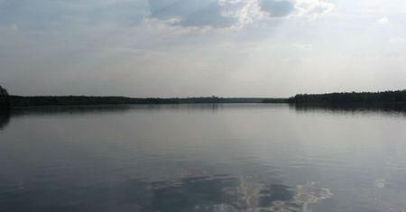 Ta sytuacja w Tychach powtarza się od lat. Sanepid zamknął Paprocany z powodu sinic