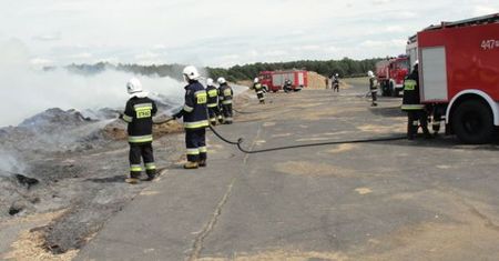 Pożary na lotnisku w Kąkolewie - policja nie wyklucza celowych podpaleń
