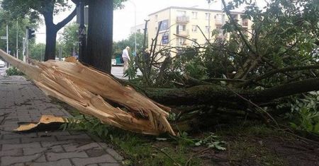 Po nawałnicy nad Wielkopolską - 1200 interwencji, 6 rannych osób