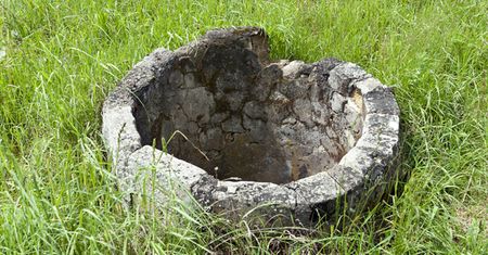 Susza na Dolnym Śląsku - od pół roku nie padał tu porządny deszcz