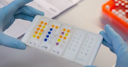 Wirus Zika. W Hiszpanii urodziło się pierwsze w Europie dziecko z mikrocefalią wywołaną wirusem