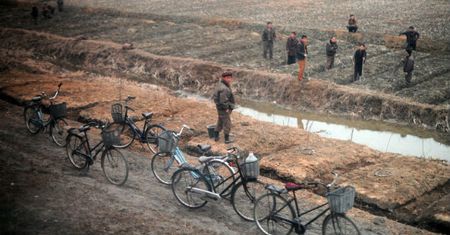 Korea Południowa ostrzega przed widmem nowego głodu w Korei Północnej. Również ornitolodzy mają swoje podejrzenia