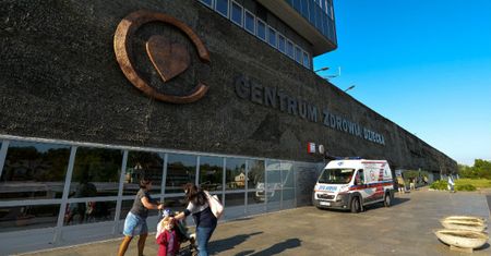 16-letnia Sara poważnie zatruła się grzybami. Lekarze CZD: jej stan poprawił się, w tej chwili nie wymaga przeszczepu wątroby