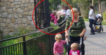 Gdy do zoo przychodzi ktoś, kto nie umie się zachować...