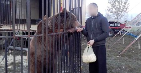 Gdy tam trafią, ich życie zamienia się w piekło. Są bite i zaniedbywane