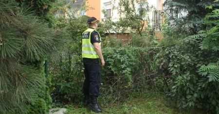 Niebezpieczny barszcz Sosnowskiego rósł przy bloku w Poznaniu