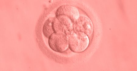 Henry Miller: W obronie germinalnej terapii genowej