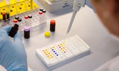 Rytuał kambo trafił do Polski. Ekspert: to eksperymentowanie na własnym ciele