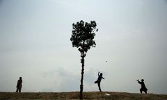 Apel przywódcy afgańskich talibów: sadźcie drzewa