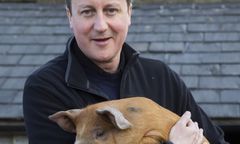 Jakub Majmurek: świńska sprawa establishmentu