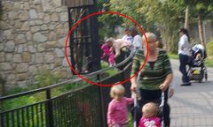 Gdy do zoo przychodzi ktoś, kto nie umie się zachować...