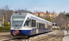 Słowacja. Patrole prawicowców w pociągach