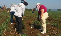 W Meksyku znaleziono masowy grób z minimum 60 ofiarami