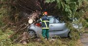 Tornado nad Niemcami. Jedna osoba nie żyje, 30 rannych