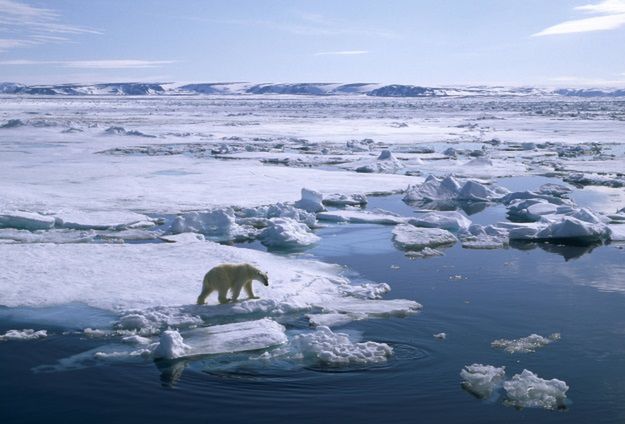 Arktyka skrywała tajną niemiecką bazę z czasów II wojny światowej