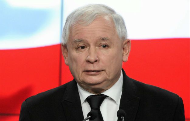 Przepisy ws. wycinki drzew do zmiany. Jarosław Kaczyński i PiS rozpoczynają przygotowania do wyborów samorządowych