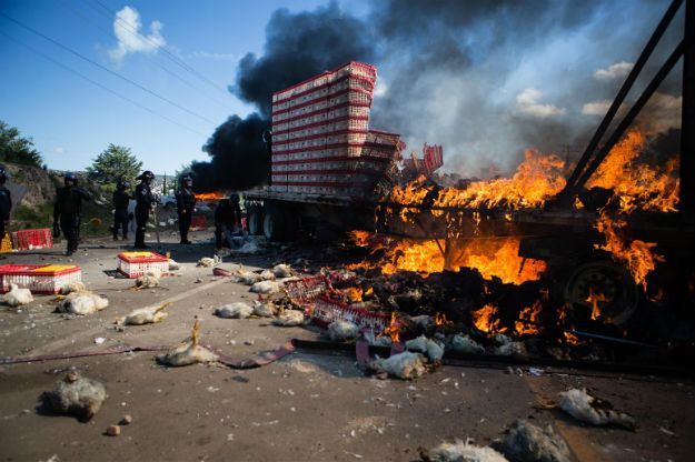 "O co walczymy?". Rozmowy z nauczycielami protestującymi w meksykańskim stanie Oaxaca