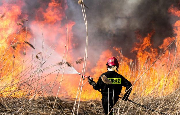 Tragiczny finał pożaru traw koło Bytowa. Znaleziono zwłoki kobiety