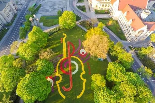 W parku przed poznańską operą usypano dywan z setek tysięcy główek tulipanów