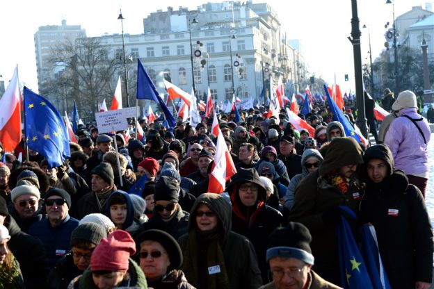 Futra z norek i szynszyli na demonstracjach KOD? Internet śmieje się z polityków PiS