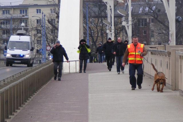 Czy psy niemieckiej policji wytropiły ślady Ewy Tylman?