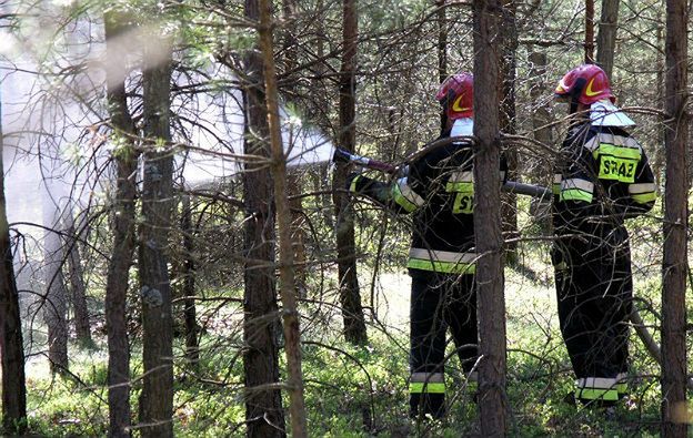 Seryjny podpalacz na Śląsku - wyznaczono nagrodę