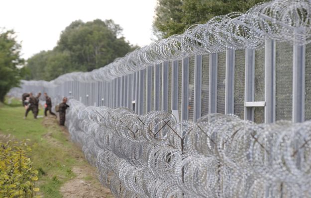 Kryzys imigracyjny na Węgrzech. Minister obrony rezygnuje