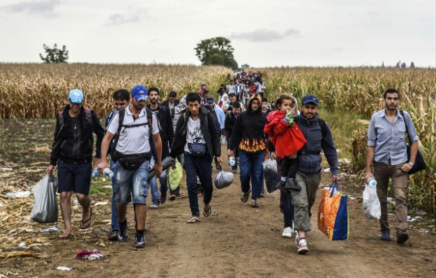 Lekarze czy niewykształceni. Czy będziemy mieli wpływ na to, jacy uchodźcy do nas przyjadą?