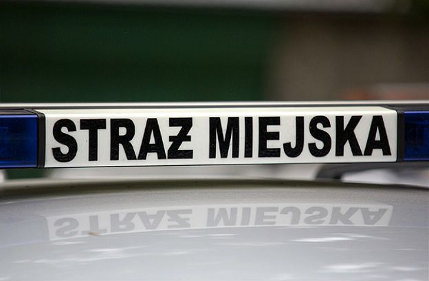 "Pogromca fotoradarów" ostrzega kierowców przed ofensywą straży miejskiej