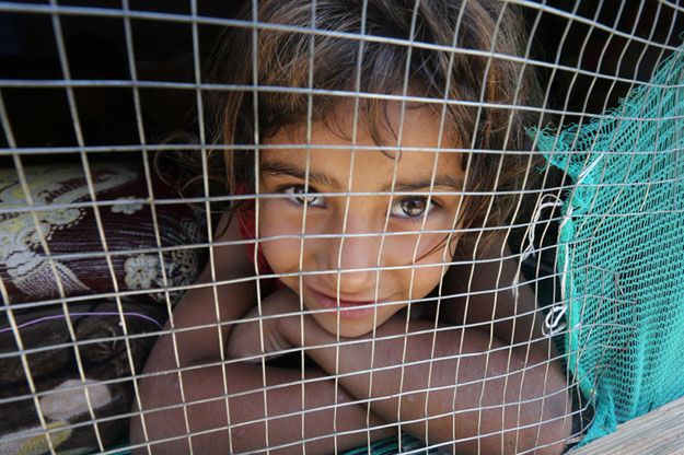 Australia przyjmie więcej Syryjczyków