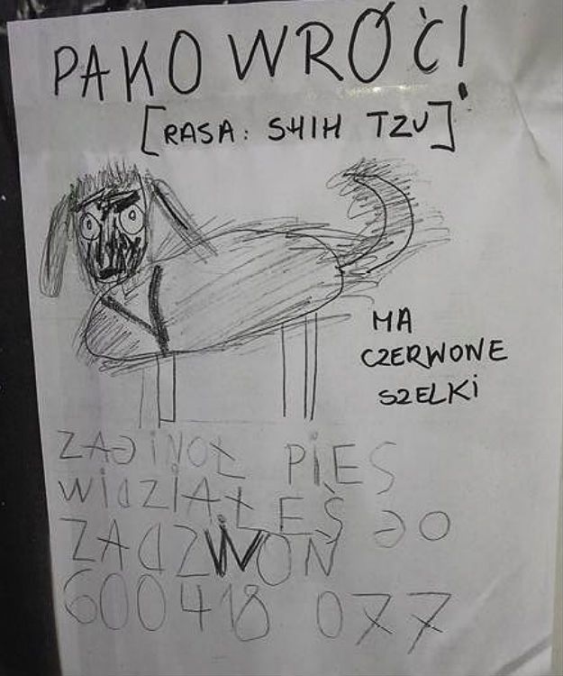 Dramatyczny apel 6-letniej Poli. Cały Kraków szuka Pako