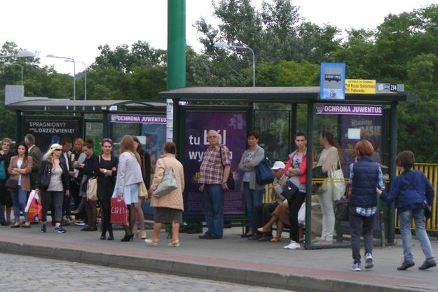 ZTM zamontuje w Poznaniu 30 nowych wiat przystankowych