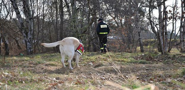 Policja przeszukuje pas nadmorski w Gdańsku. Szuka śladów mordercy 17-letniej Agaty