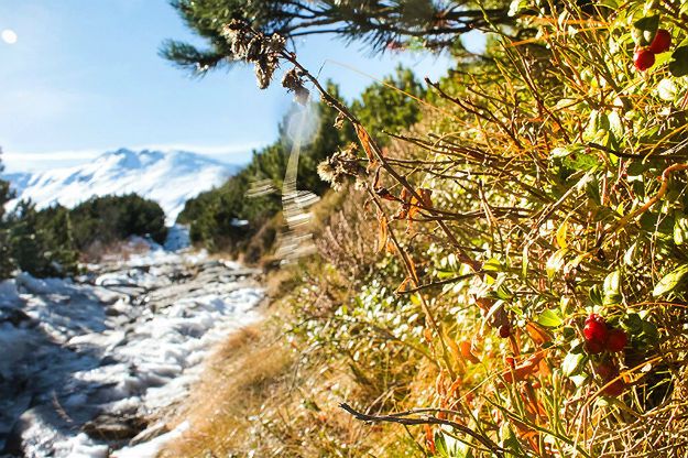 W Tatrach zginął turysta. TOPR ostrzega przed zimowymi warunkami w górach
