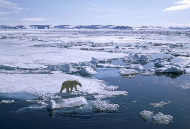 Arktyka skrywała tajną niemiecką bazę z czasów II wojny światowej
