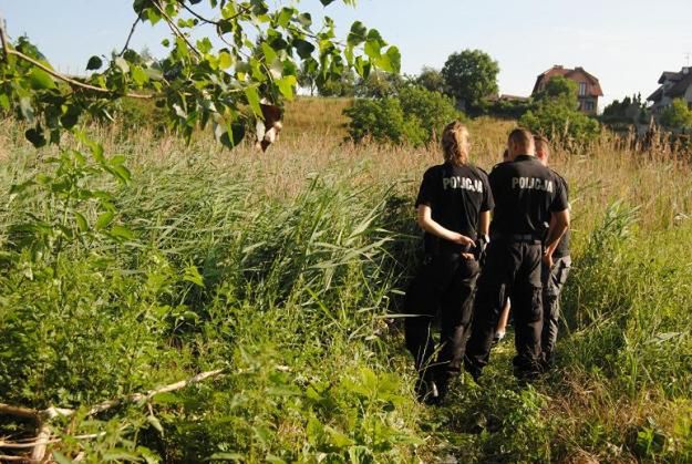 Z jeziora w Gnieźnie wyłowiono zwłoki 16-latka, który zaginął kilka dni temu