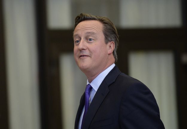 Brytyjski premier David Cameron przeciw "opcji norweskiej"