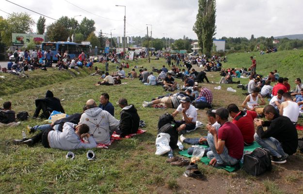 Jak Polska odróżnia uchodźców od imigrantów ekonomicznych?