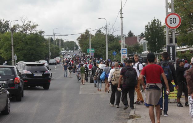 MSZ i MSW podają termin przyjęcia uchodźców w Polsce