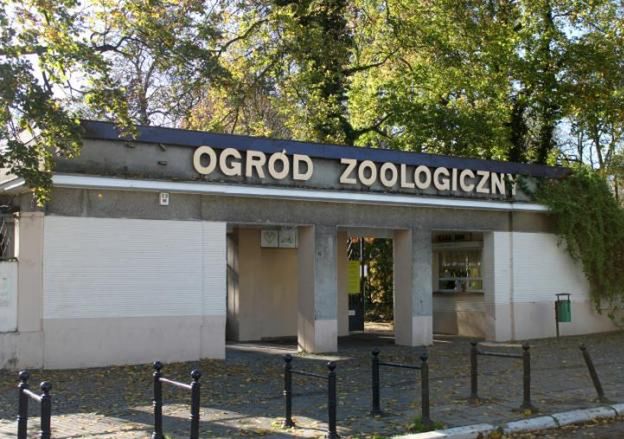 Kierownik Starego Zoo w Poznaniu był pijany w pracy. Zostanie zwolniony?