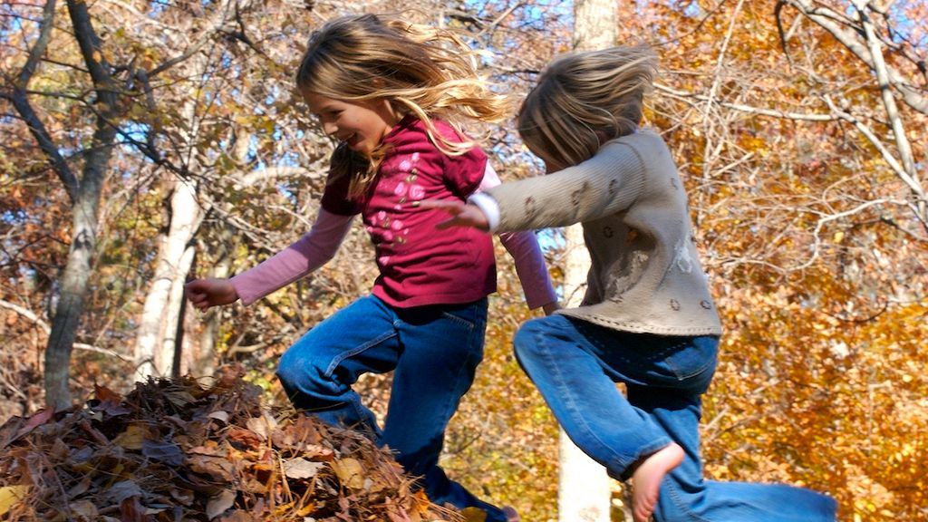 Czy wychowanie bardzo grzecznego dziecka jest możliwe – czyli metody skutecznej komunikacji rodziców i dzieci według serii książek Adele Faber i Elaine Mazlish "Jak mówić, żeby dzieci..."