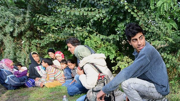 Uchodźcy z Syrii na granicy serbsko-węgierskiej
