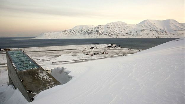 Globalny Bank Nasion w norweskim Svalbardzie