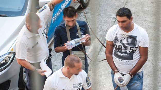 Podejrzani odprowadzani do sądu