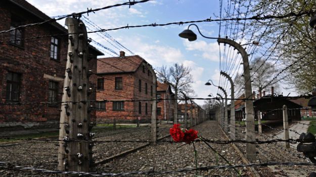 Zdaniem protestujących obozy koncentracyjne powstały na terenie Polski, ponieważ "Polacy się na to godzili"