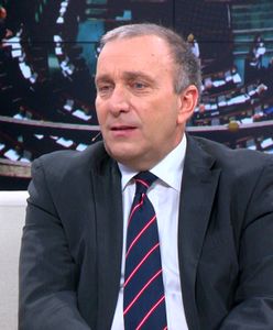 Platforma Obywatelska złoży w Sejmie projekt zmian w ustawie dotyczącej wycinki drzew