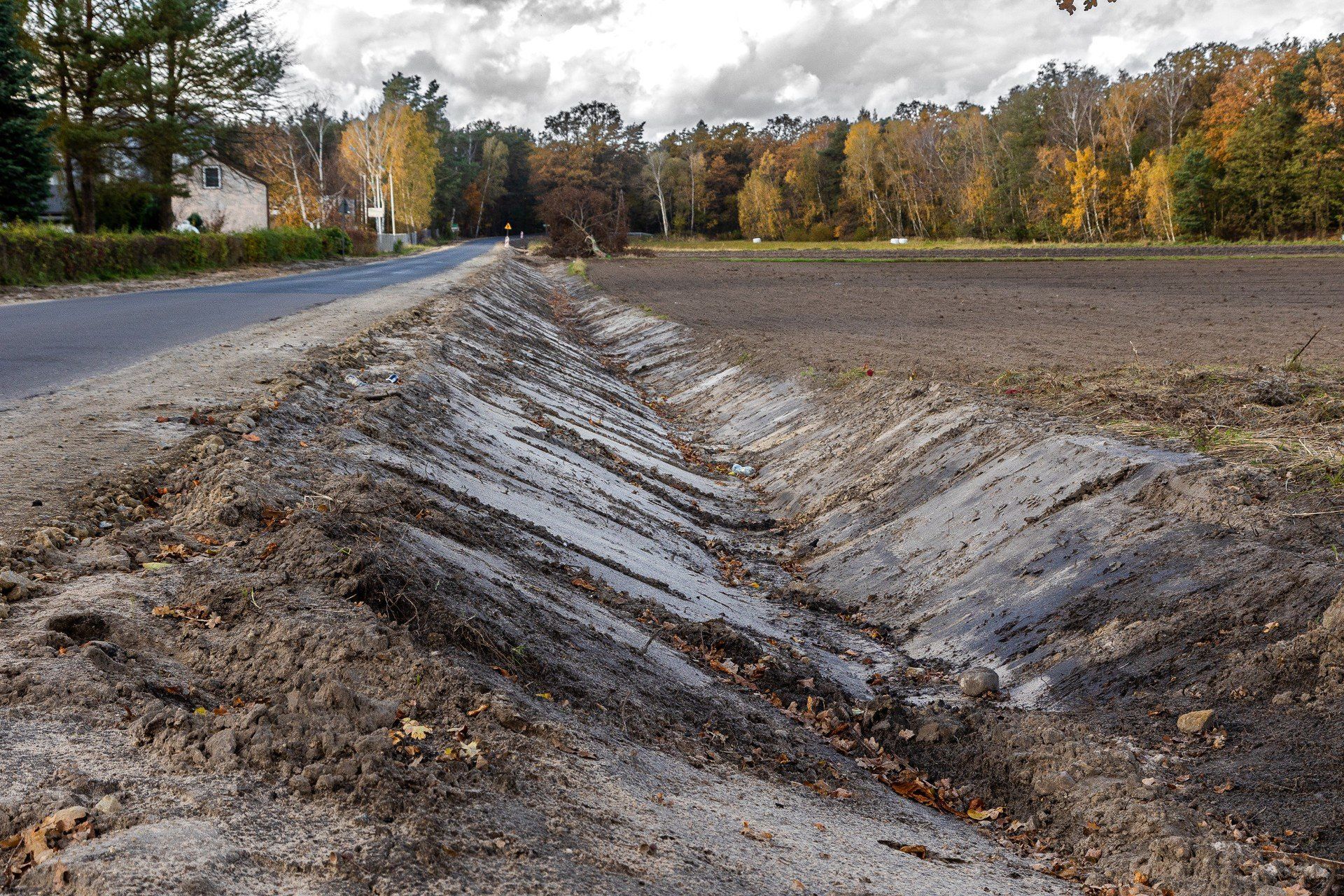 Wykopane zostały rowy melioracyjne.